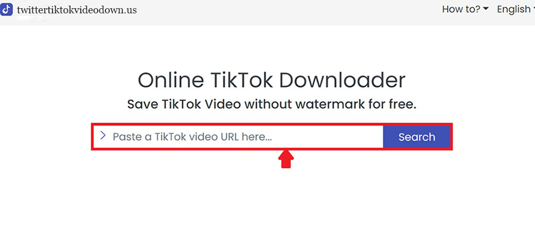 Pegar URL de video Tiktok