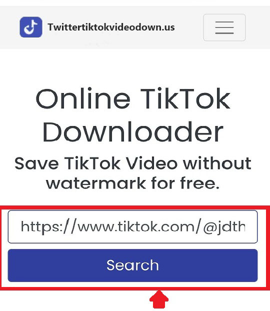 Поиск видео Tiktok